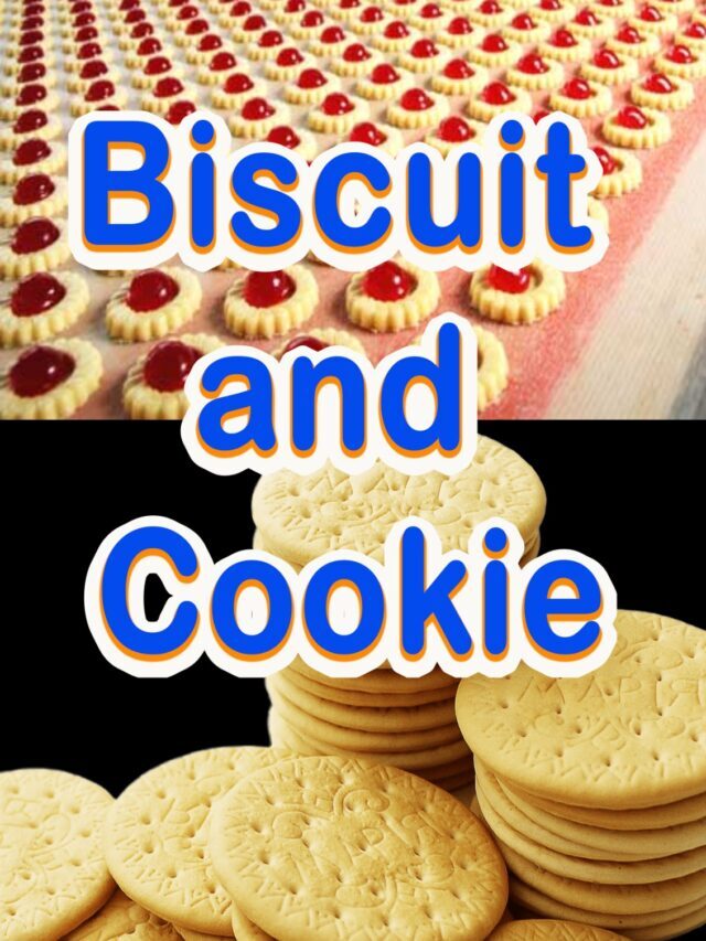 बिस्कुट और कुकीज़ में क्या अंतर है | difference between biscuit and cookie